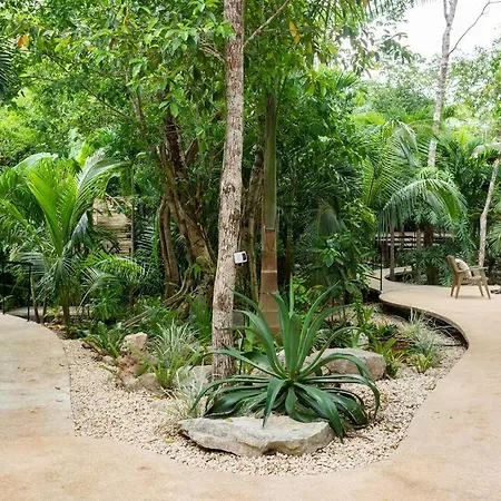 Zen Canto Villa Tuuch :: May The Jungle Be With You-3