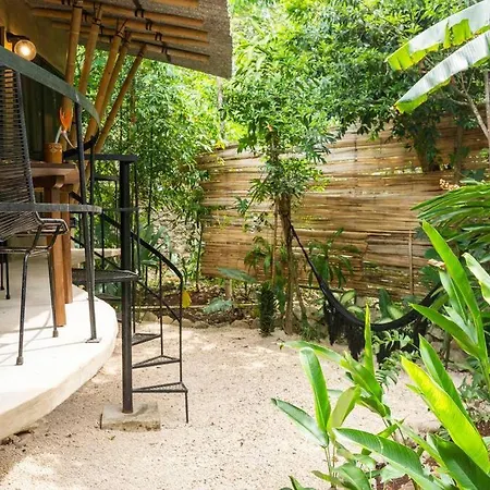 Zen Canto Villa Tuuch :: May The Jungle Be With You-2