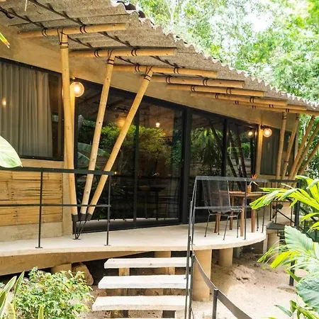 Zen Canto Villa Tuuch :: May The Jungle Be With You-2